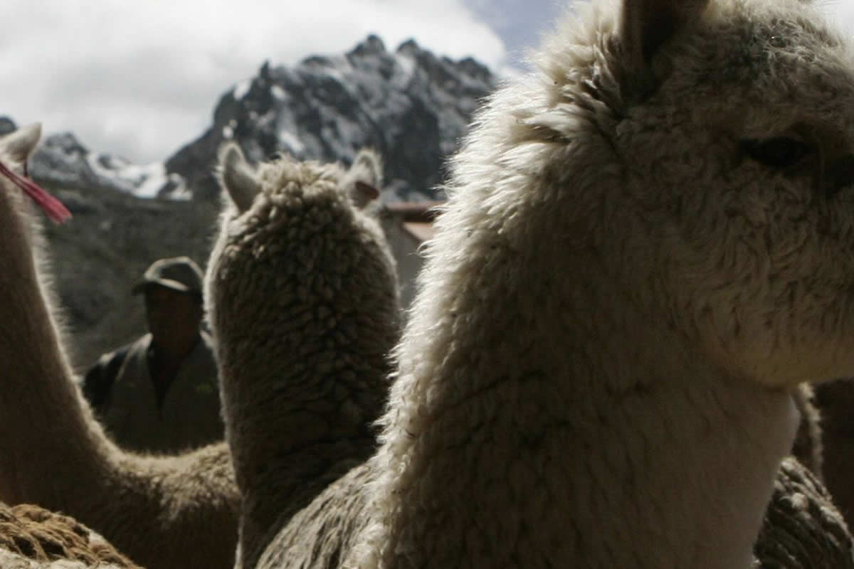 Colca Valley